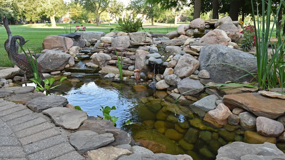 Finished backyard water feature