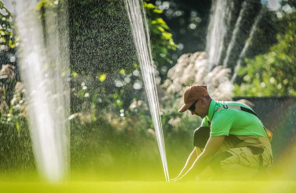 Garden Watering System Installation. Caucasian Worker Adjusting Water Sprinkler. Gardening Technologies.
