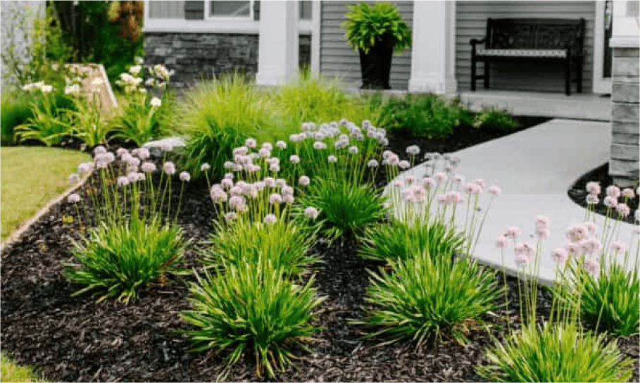 Landscaping Grand Rapids