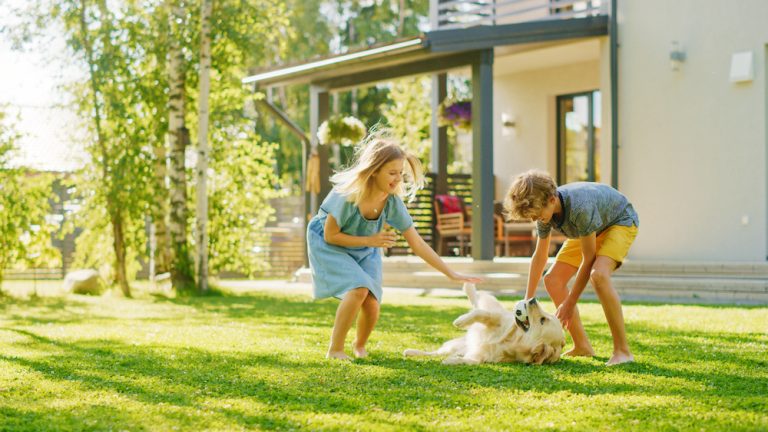 Two Kids Have fun with Their Handsome Golden Retriever Dog on the Backyard Lawn. They Pet, Play, Scratch it. Happy Pedigree Dog Holds Toy ball in Jaws. Idyllic Suburb House in the Summer