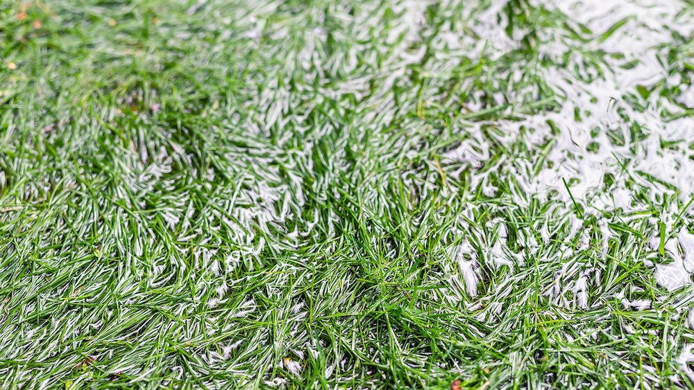 Close-up detail green grass lawn covered with water due to snow melting thaw and flash high water at spring. Natural disaster flooded agricultural field. Deluge of house backyard countryside.