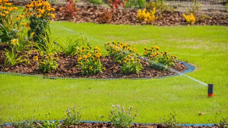View Of Lawn Landscaping and Sprinkler System Watering Greenery Area.