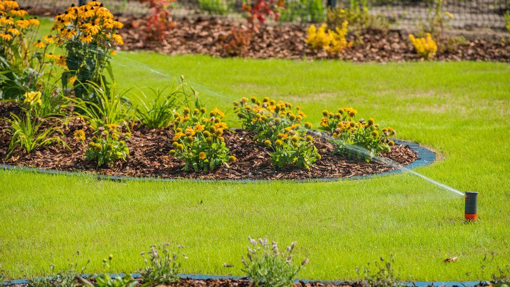View Of Lawn Landscaping and Sprinkler System Watering Greenery Area.