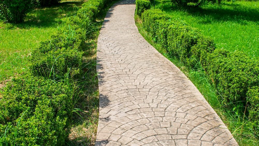 curved path through bushes