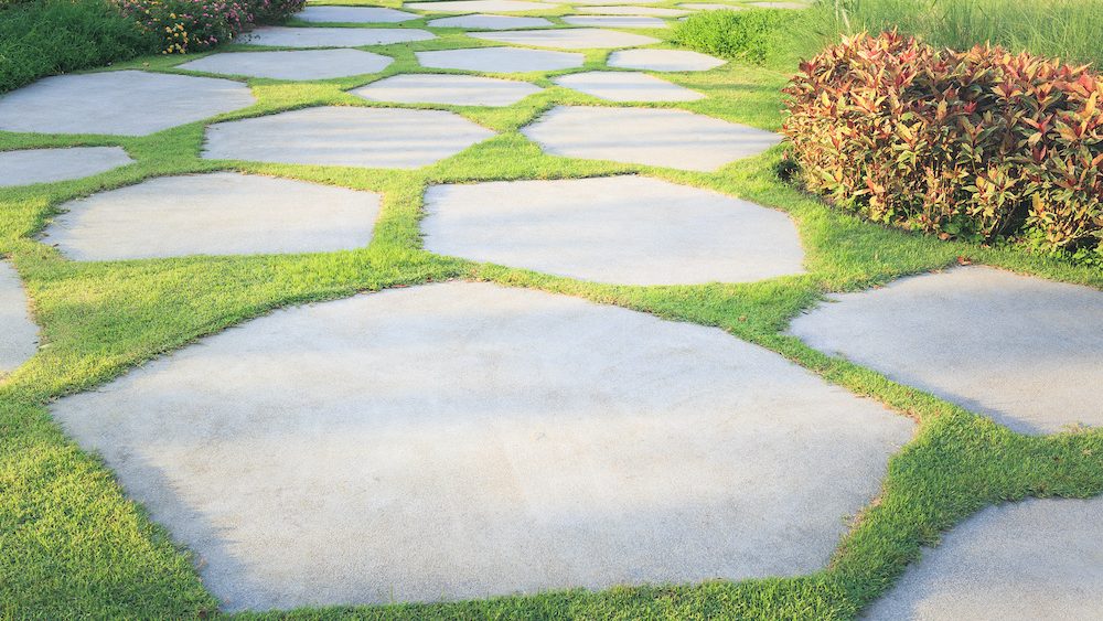 Walkway and bush in garden. Also called concrete pavement, floor, passage, path, footpath, pathway or passageway. Include natural plant, lawn and grass. For walking along and decorative park, garden.