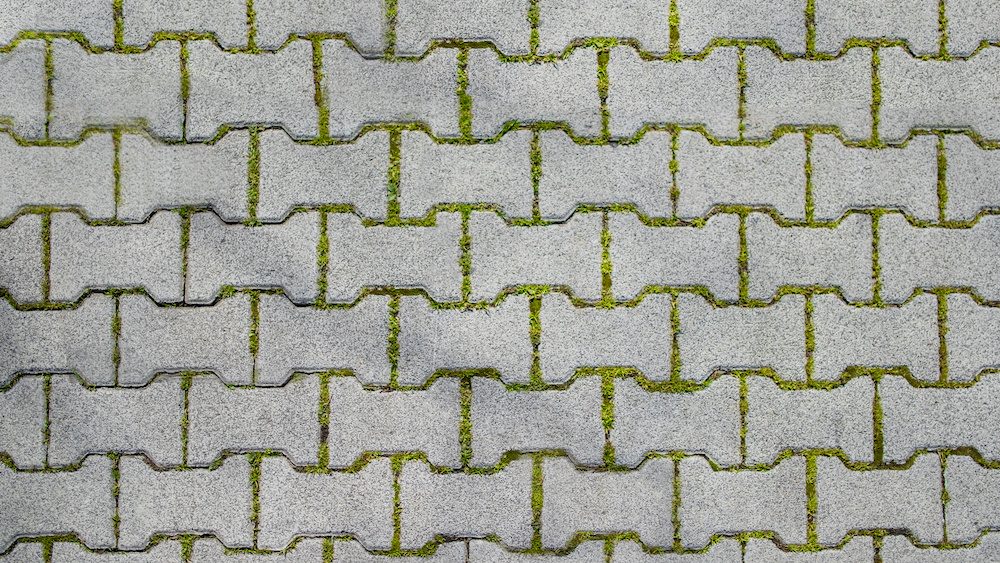 Texture map. special shaped interlocking pavers and grass between the stones. curbstone, cobblestone, flagstone. Selective Focus. Concrete Stone Background.