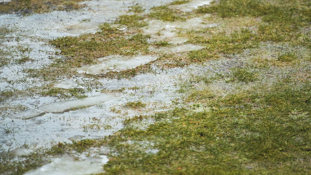 The effects of climate change and urban development on soil health and water absorption