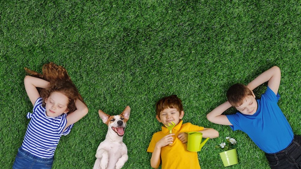 Children friends and dog, lying on green grass. Happy spring day.