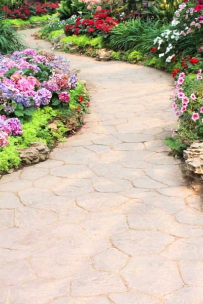Walkway in garden with nature colorful ornamental flowers background
